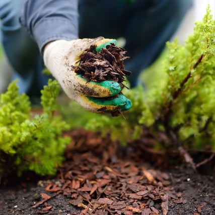 Lawn & Garden SuppliesPerson holding mulch