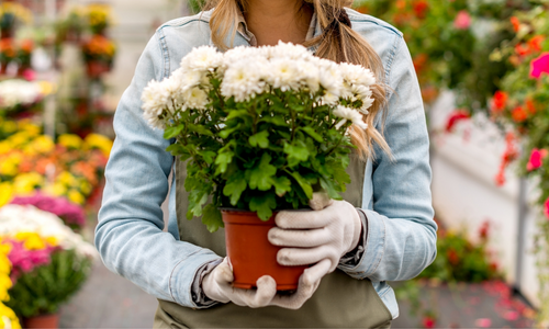 woman holding plant